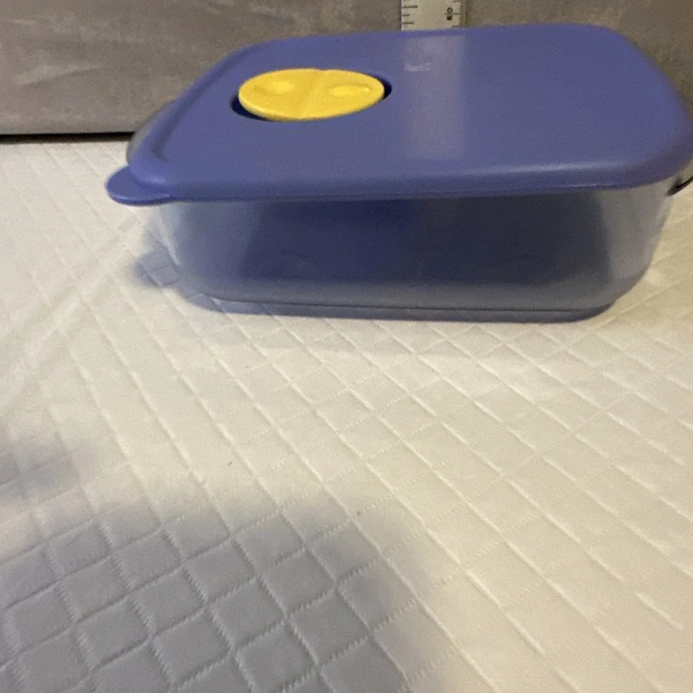 Tupperware Rock N Serve 2½ Cups Blue Container with Lid‎ Vent Square 3385